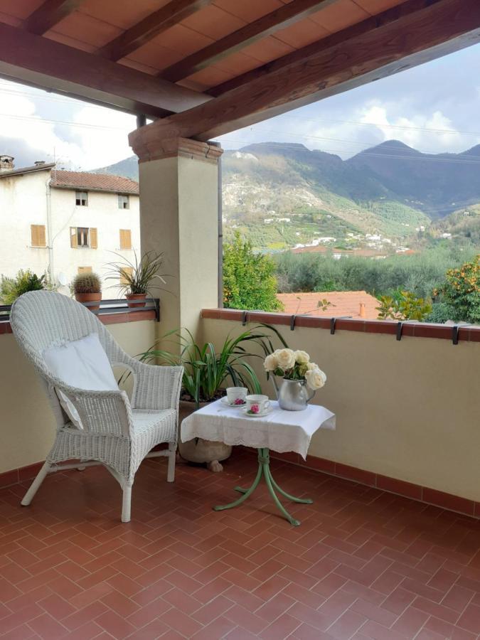 Villa Rustico Degli Ulivi à Vallecchia Extérieur photo