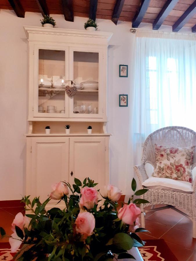 Villa Rustico Degli Ulivi à Vallecchia Extérieur photo